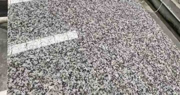 吕梁 芙蓉白光面