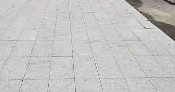 吕梁芝麻白地铺案例