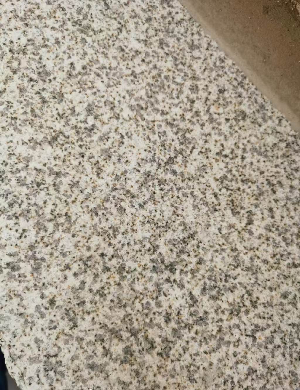 吕梁 黄金麻中黄光面