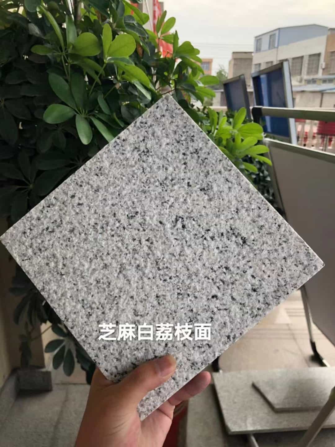 吕梁 芝麻白荔枝面干挂
