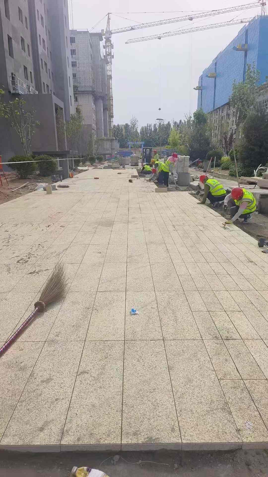 吕梁黄金麻荔枝面地铺案例